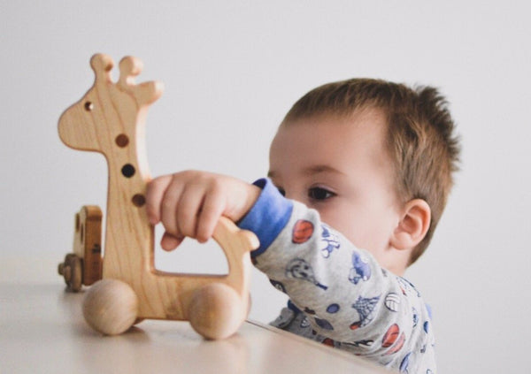 Giraffe Wooden Push Toy for Kids