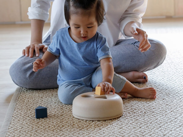 PlanToys - Geometric Sorting