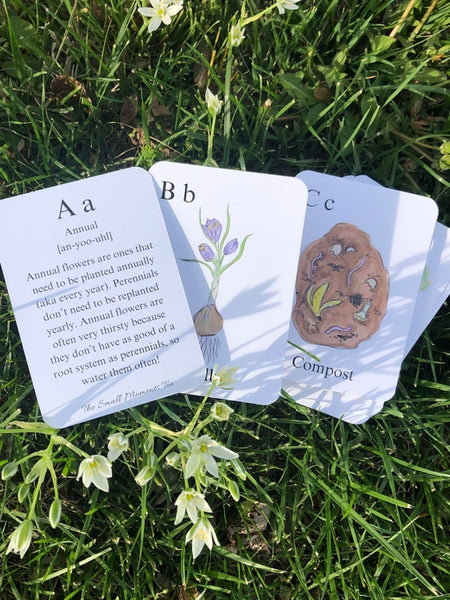 The Small Moments Too - Garden ABC Alphabet Flashcards