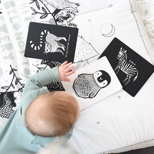Wee Gallery - Black and White Art Cards