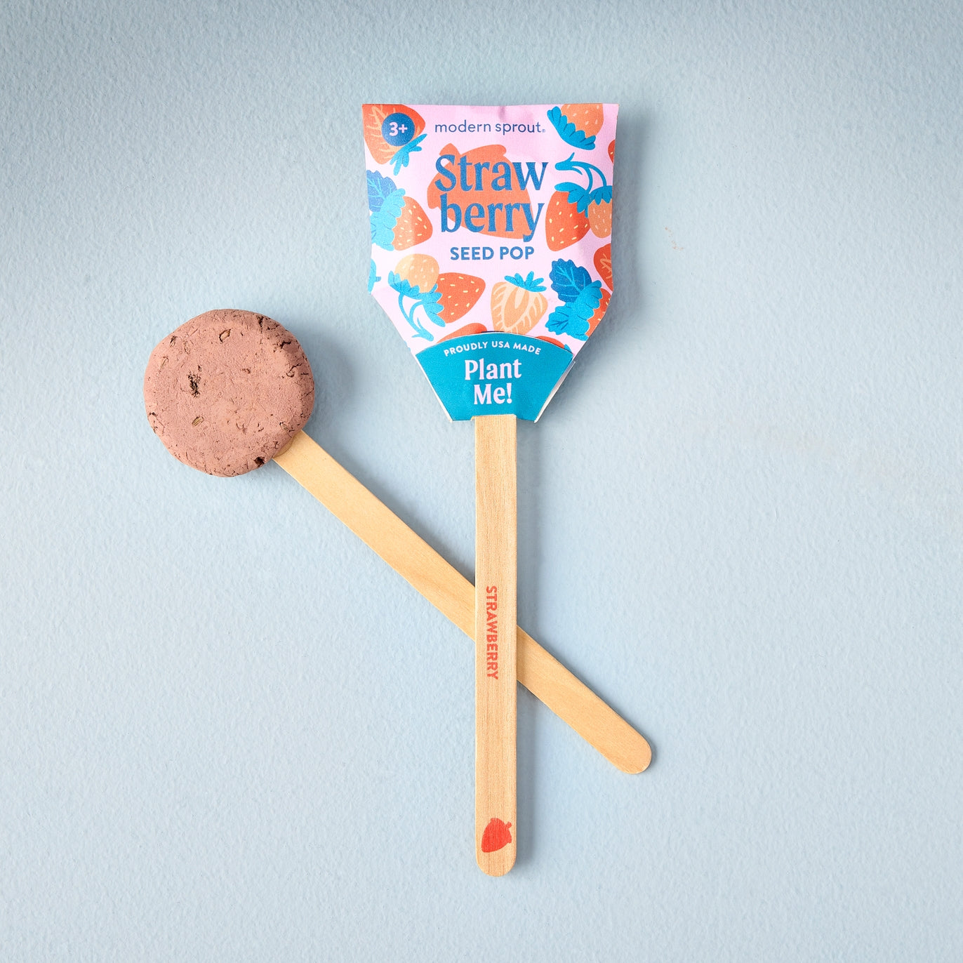 Modern Sprout - Garden Seed Pops