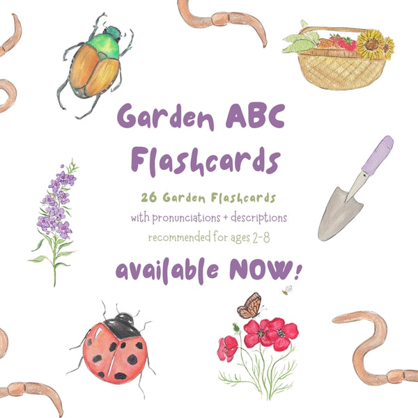 The Small Moments Too - Garden ABC Alphabet Flashcards