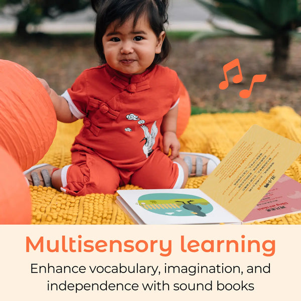 Cali's Books - Chinese Nursery Rhymes