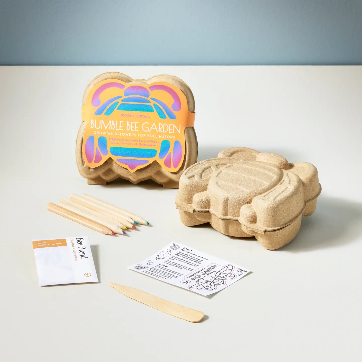 Modern Sprout - Curious Critters Activity Kit