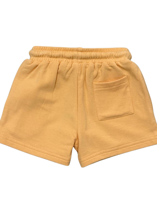Babysprouts Clothing Company - Boy's Everyday Shorts - Desert Mist