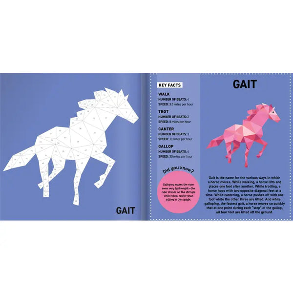 Happy Fox BOOKS - Activity Book - My Sticker Paintings: Horses