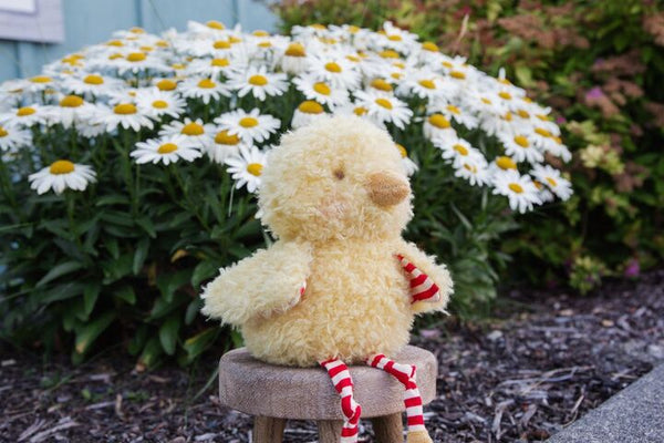 Bunnies By The Bay - Wee Clucky Little the Chicken