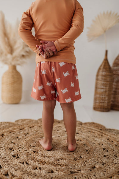 babysprouts clothing company - Long Sleeve Rash Guard Swim Shirt Sunset