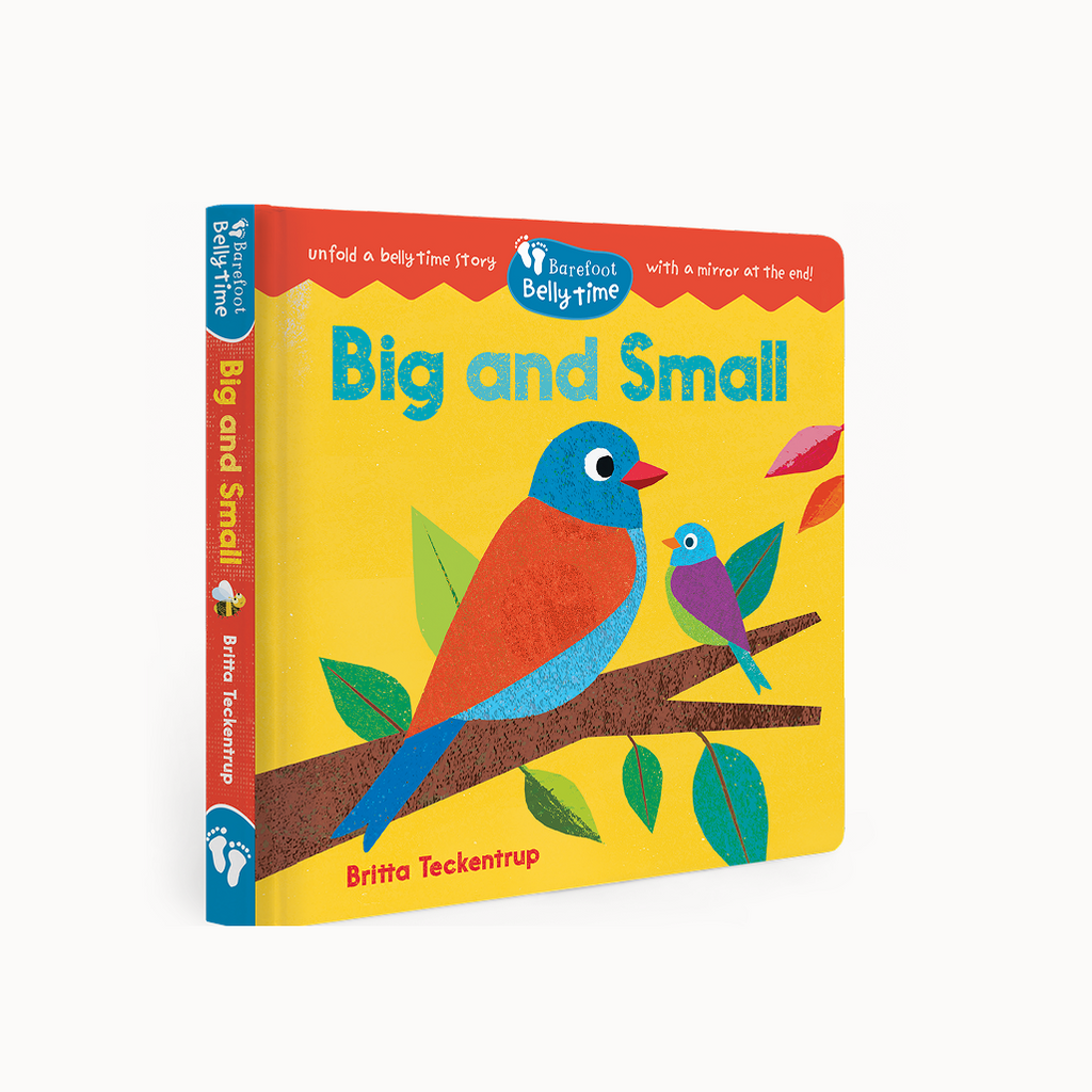 Book titled 'Big and Small' with colorful birds on a branch, featuring Barefoot Books branding.