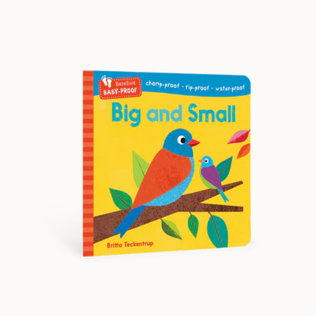 Children's book titled 'Big and Small' with colorful birds on a empty background
