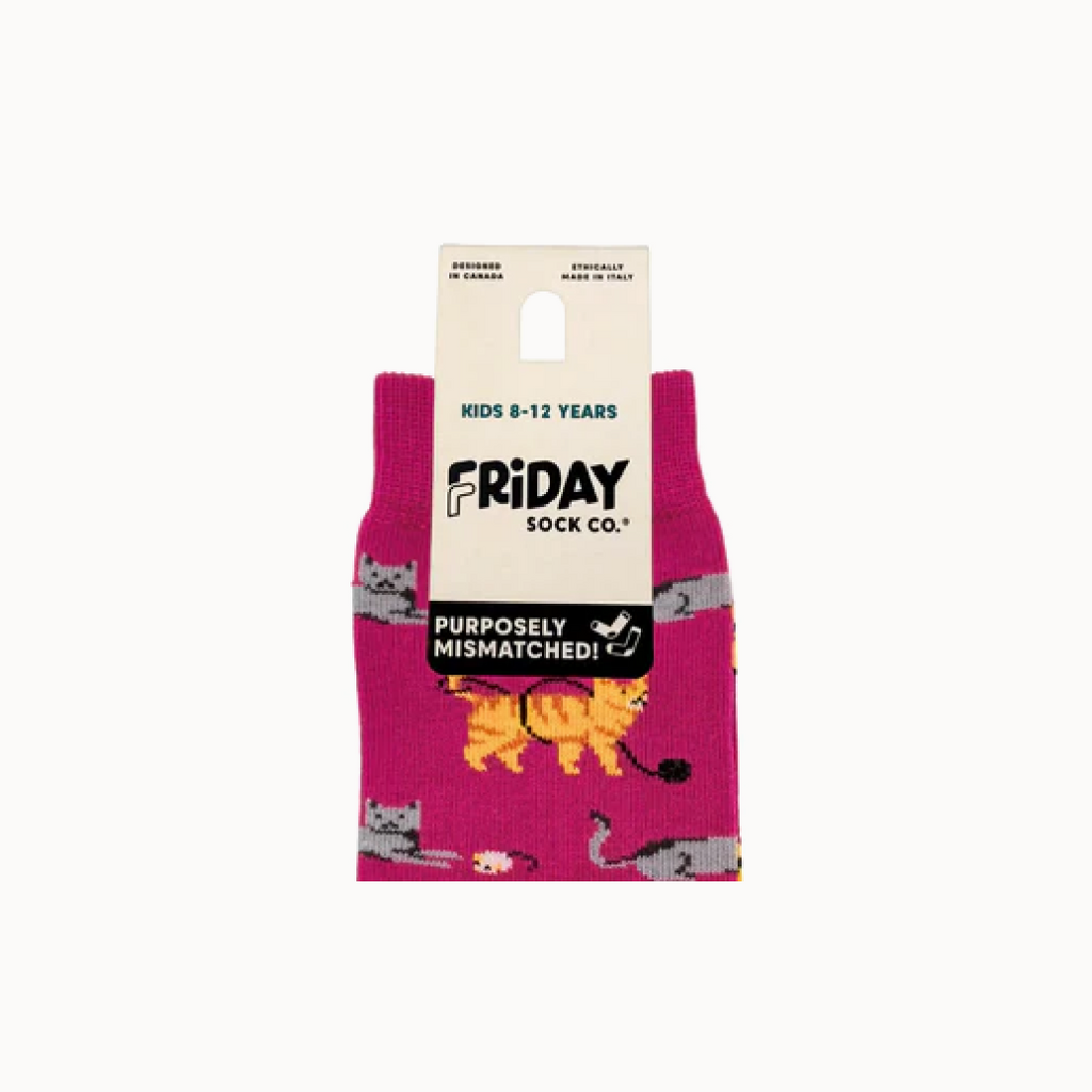 Packaged pink socks with animal designs on a white background, featuring Friday Sock Co branding.