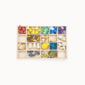 Wooden toy sorting box with various colored wooden shapes on a white background