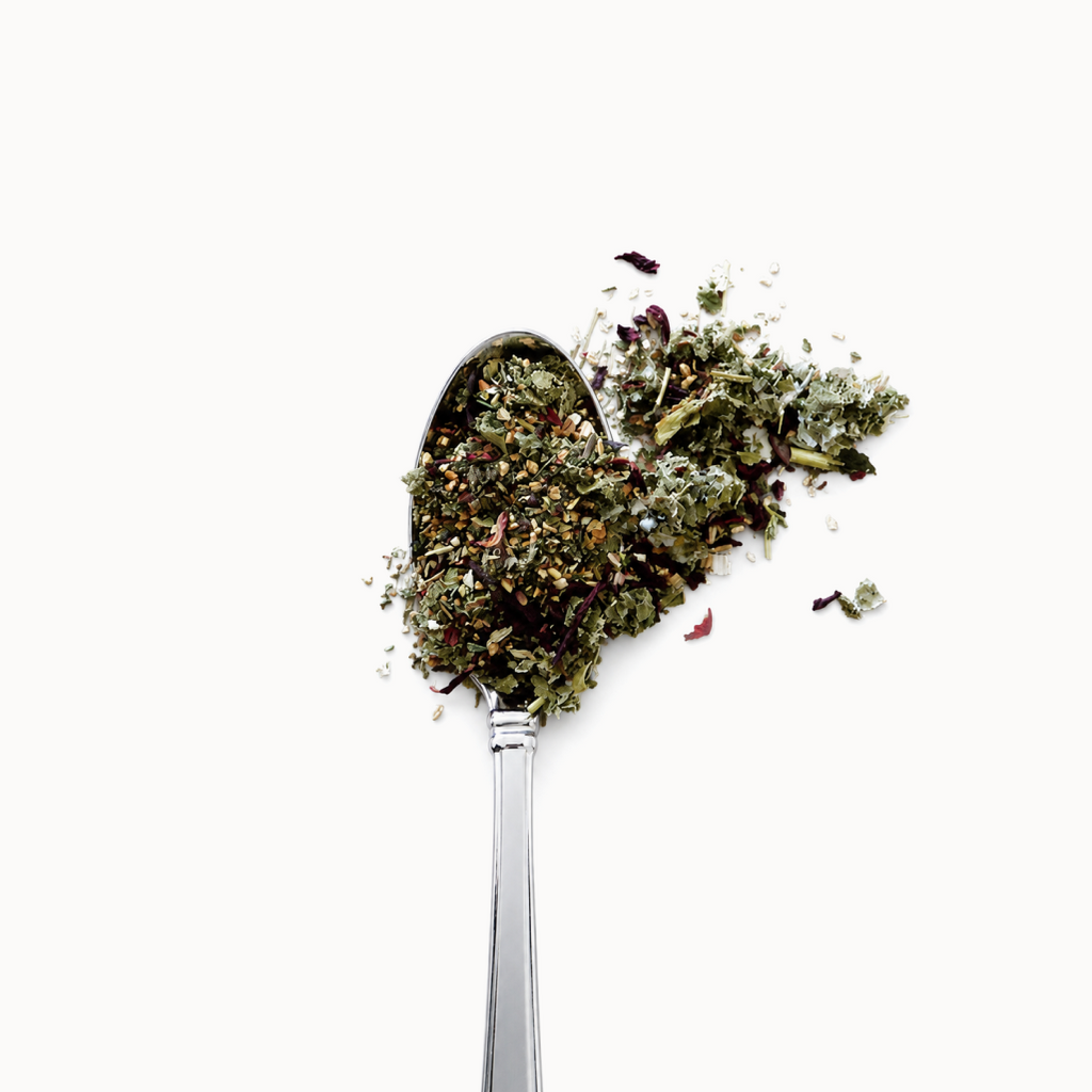 Silver spoon filled with dried herbs on a white background