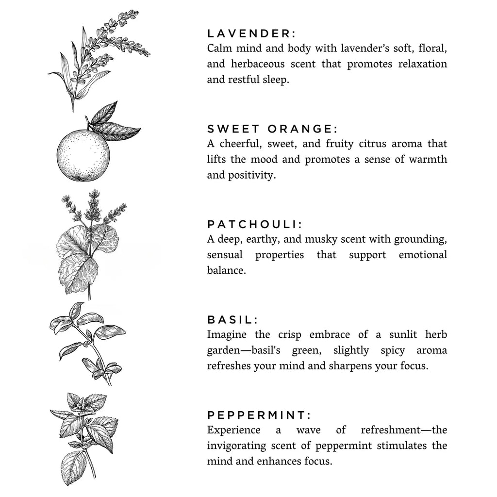 Illustrations of various herbs with descriptive text on a white background