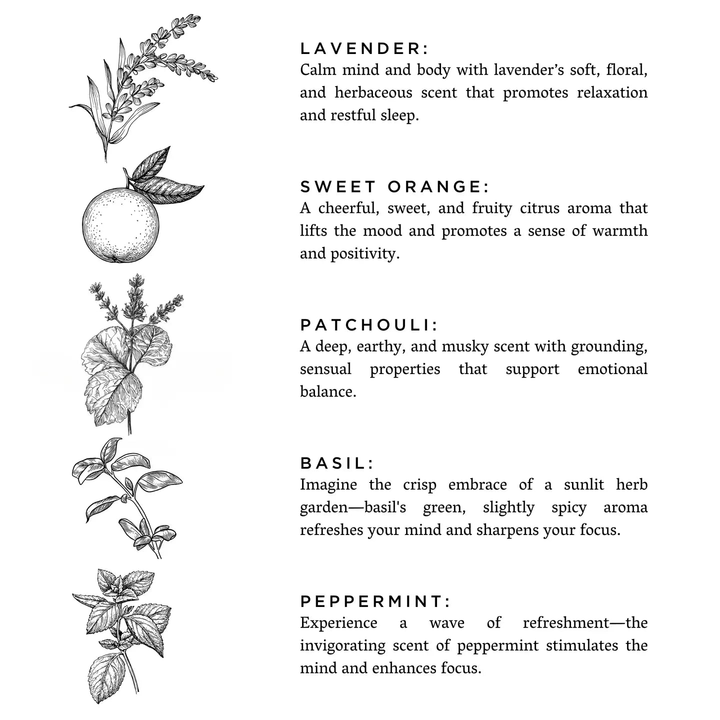 Illustrations of various herbs with descriptive text on a white background