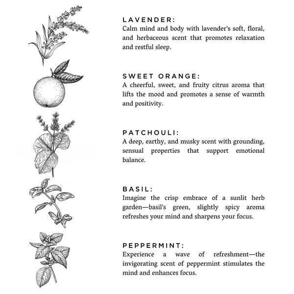 Illustrations of various herbs with descriptive text on a white background