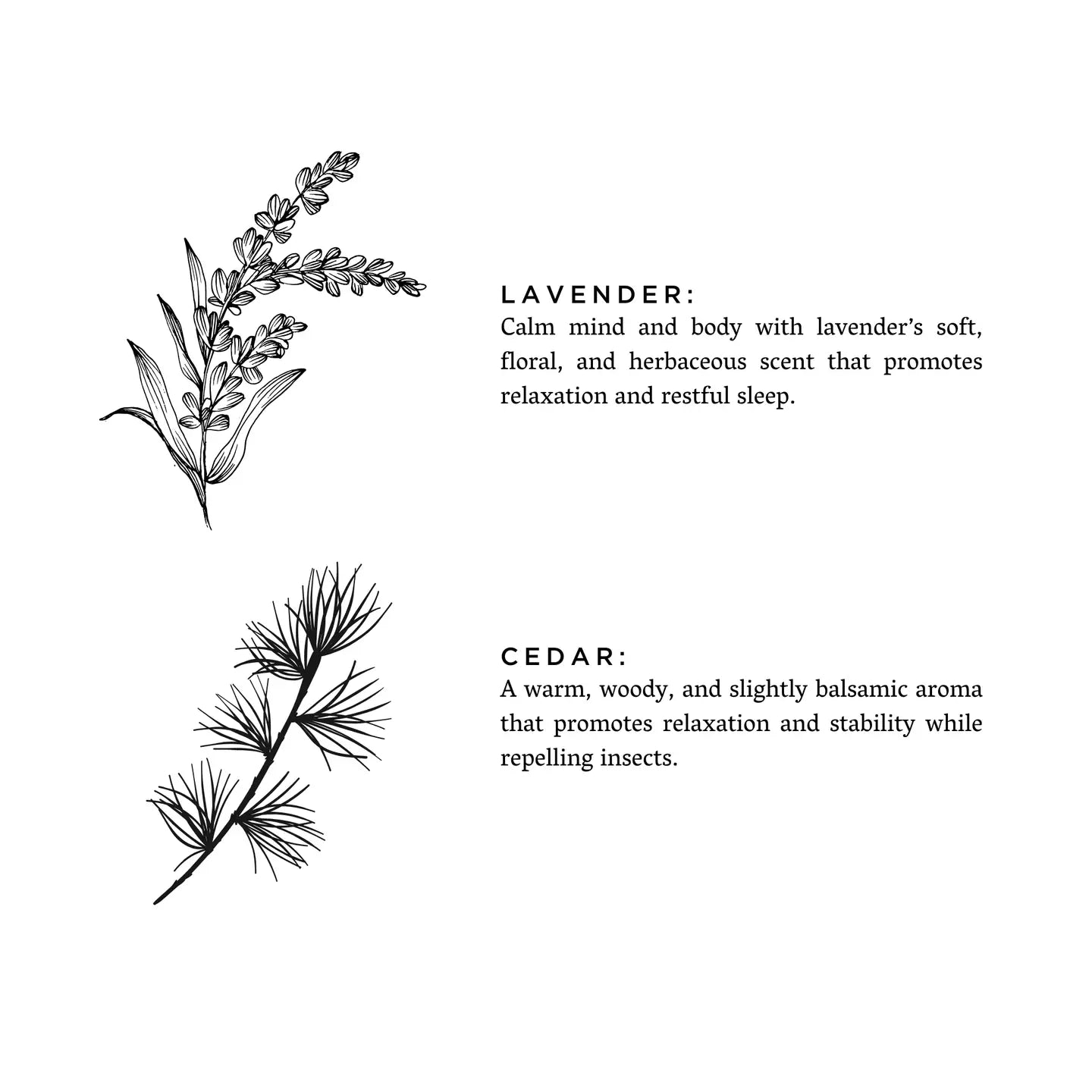 Illustrations of lavender and cedar branches with descriptive text on a white background