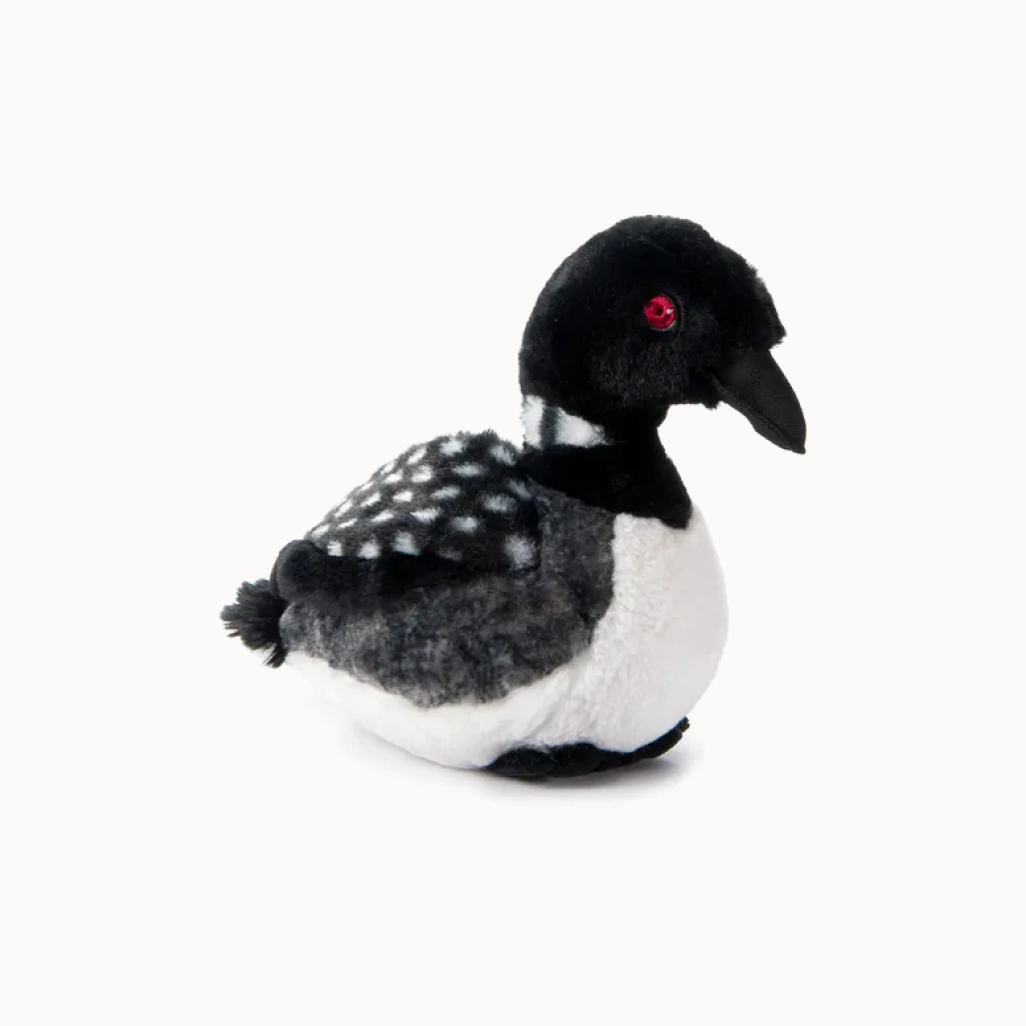 Black and white loon plush on white background