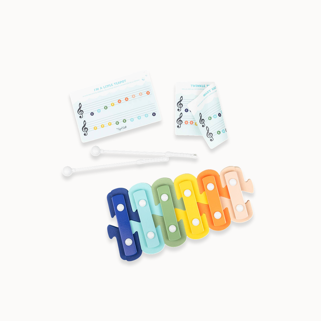 Set of colorful xylophone keys with music notation cards on a white background