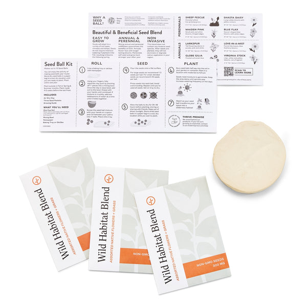 Modern Sprout - Diy Seed Ball Kit - Wildflower Garden