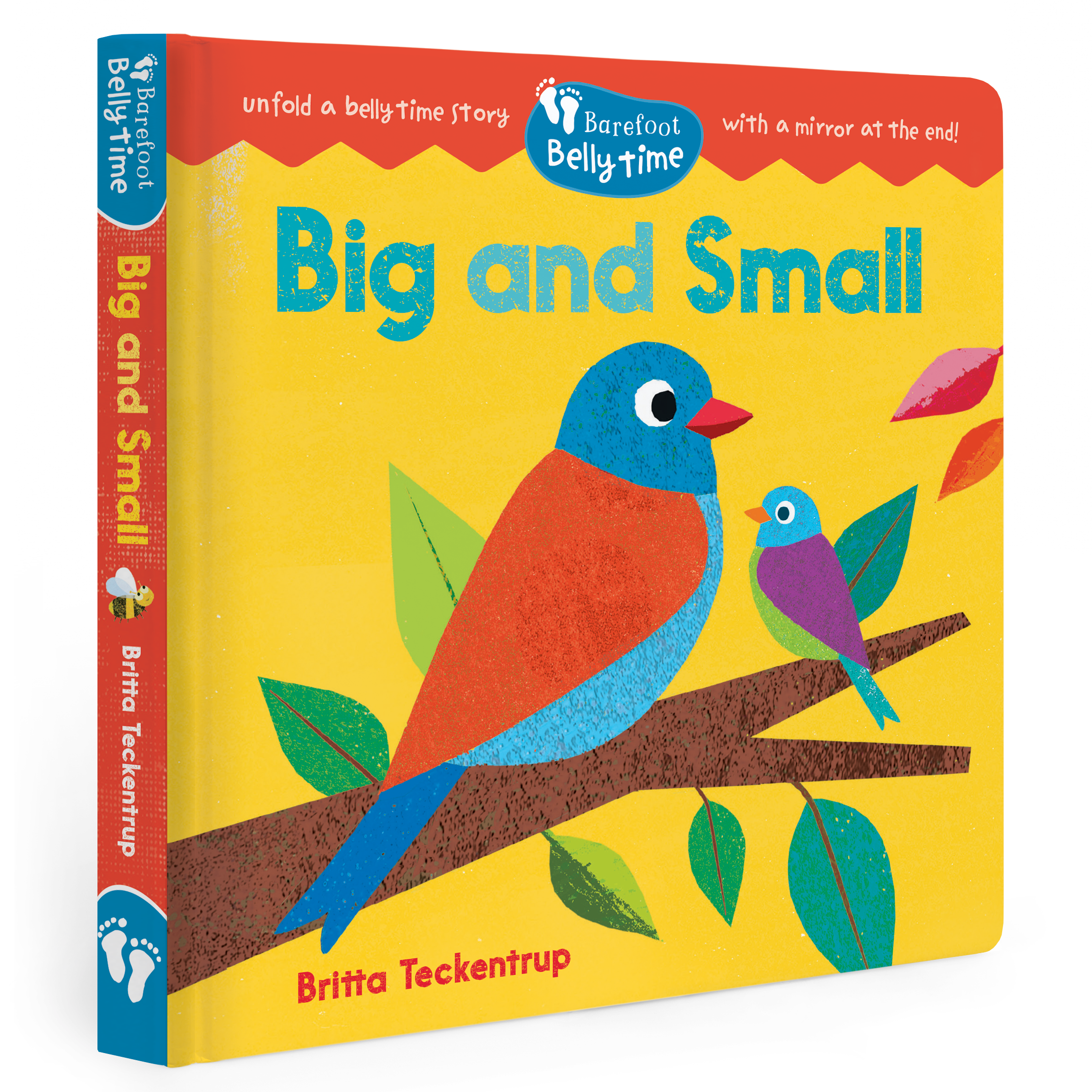 Book titled 'Big and Small' with colorful birds on a branch, featuring Barefoot Books branding.