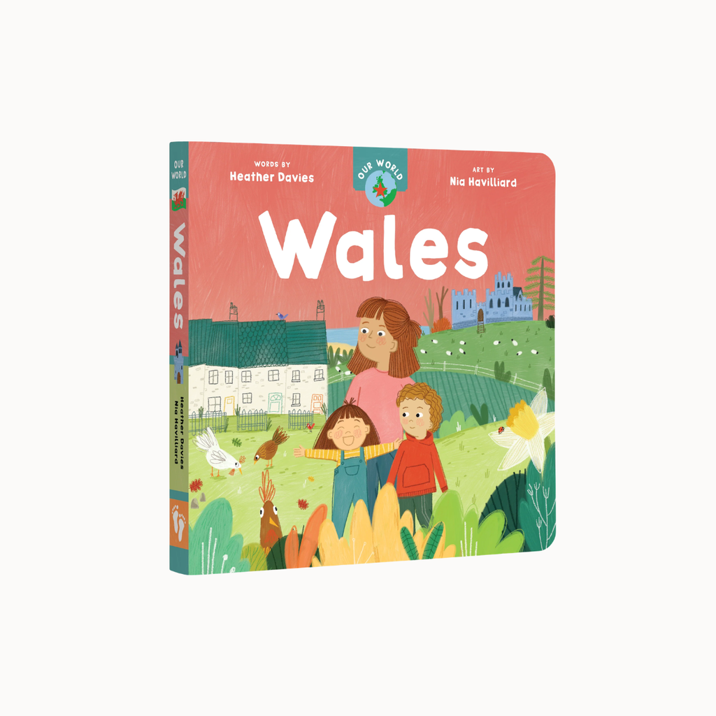 A children's hardcover book titled "Wales" from the "We World" series, featuring a colorful illustration of a woman and two children in a rural Welsh landscape with houses, fields, and wildlife.