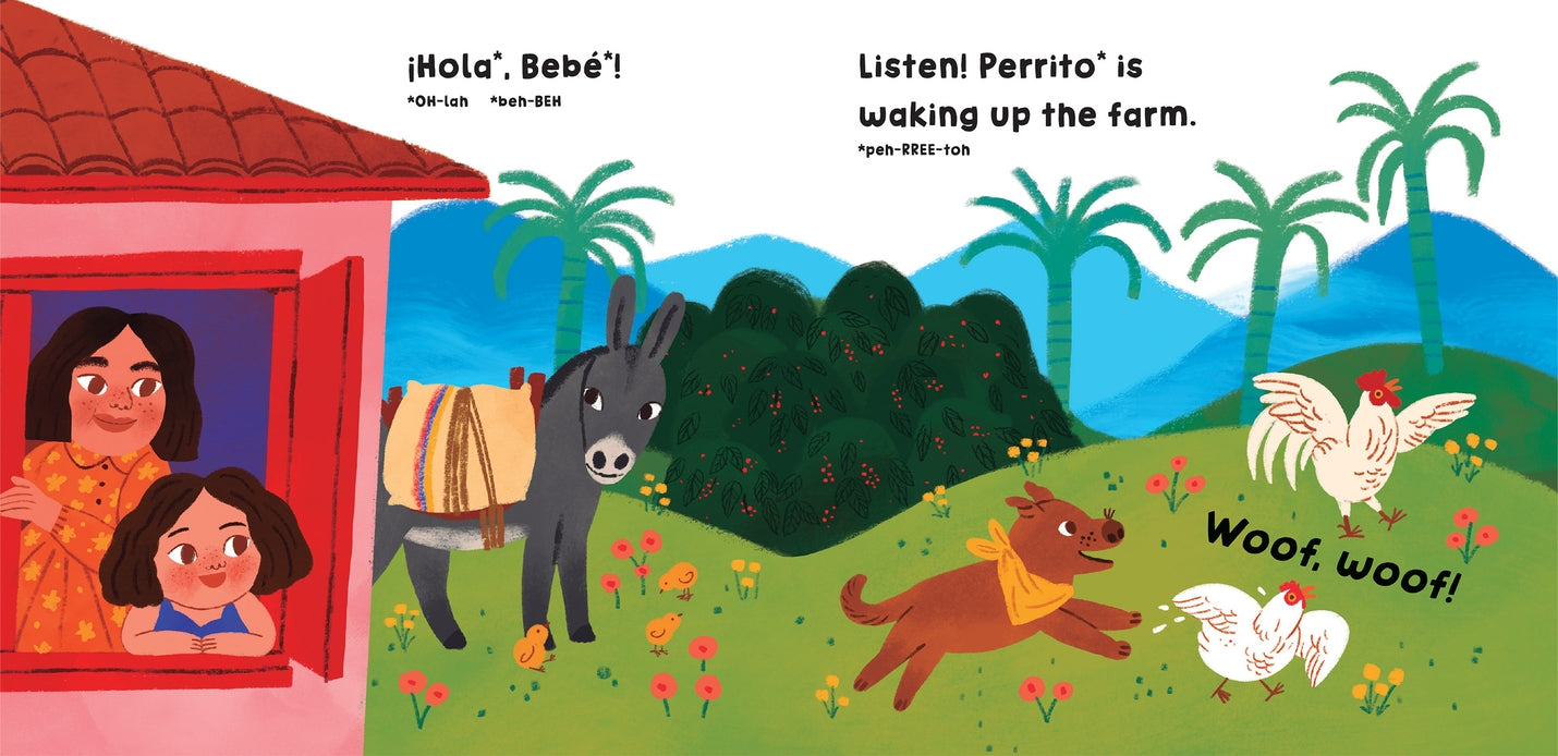 Barefoot Books - Our World: Colombia - Board Book