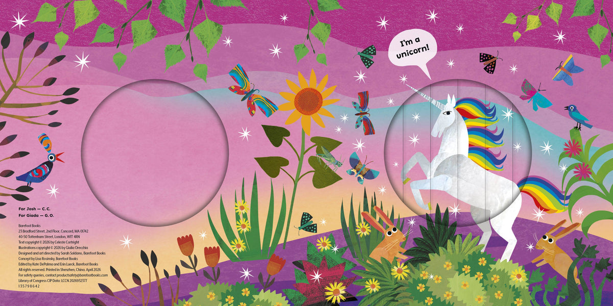 A colorful children's party backdrop featuring a whimsical fantasy scene with a white unicorn, butterflies, flowers, leaves, and stars on a pink and purple gradient background. Two circular cutout windows are visible on the left and right sides, with printed instructions and sizing information along the bottom left edge.
