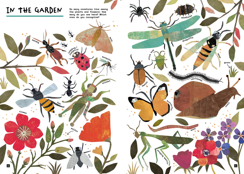 A children's educational poster titled 'IN THE GARDEN' featuring colorful illustrations of garden insects and flowers. The page includes detailed drawings of a bee, dragonfly, ladybug, butterfly, snail, grasshopper, spider, and caterpillar, each with small labels and decorative foliage on a white background.