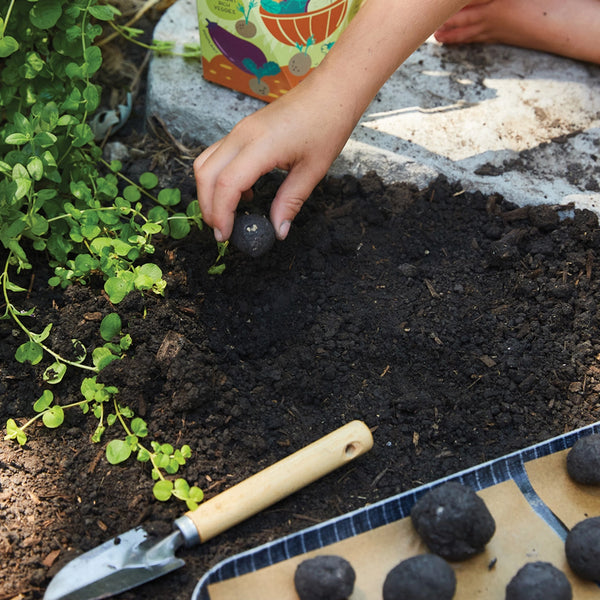 Modern Sprout - Diy Seed Ball Kit - Pizza