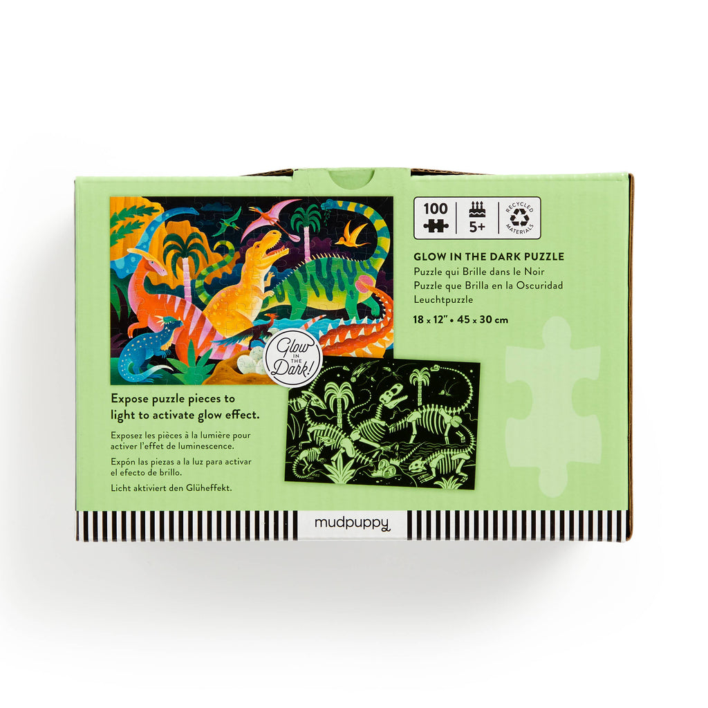 Glow in the dark puzzle packaging with dinosaur illustrations on a white background