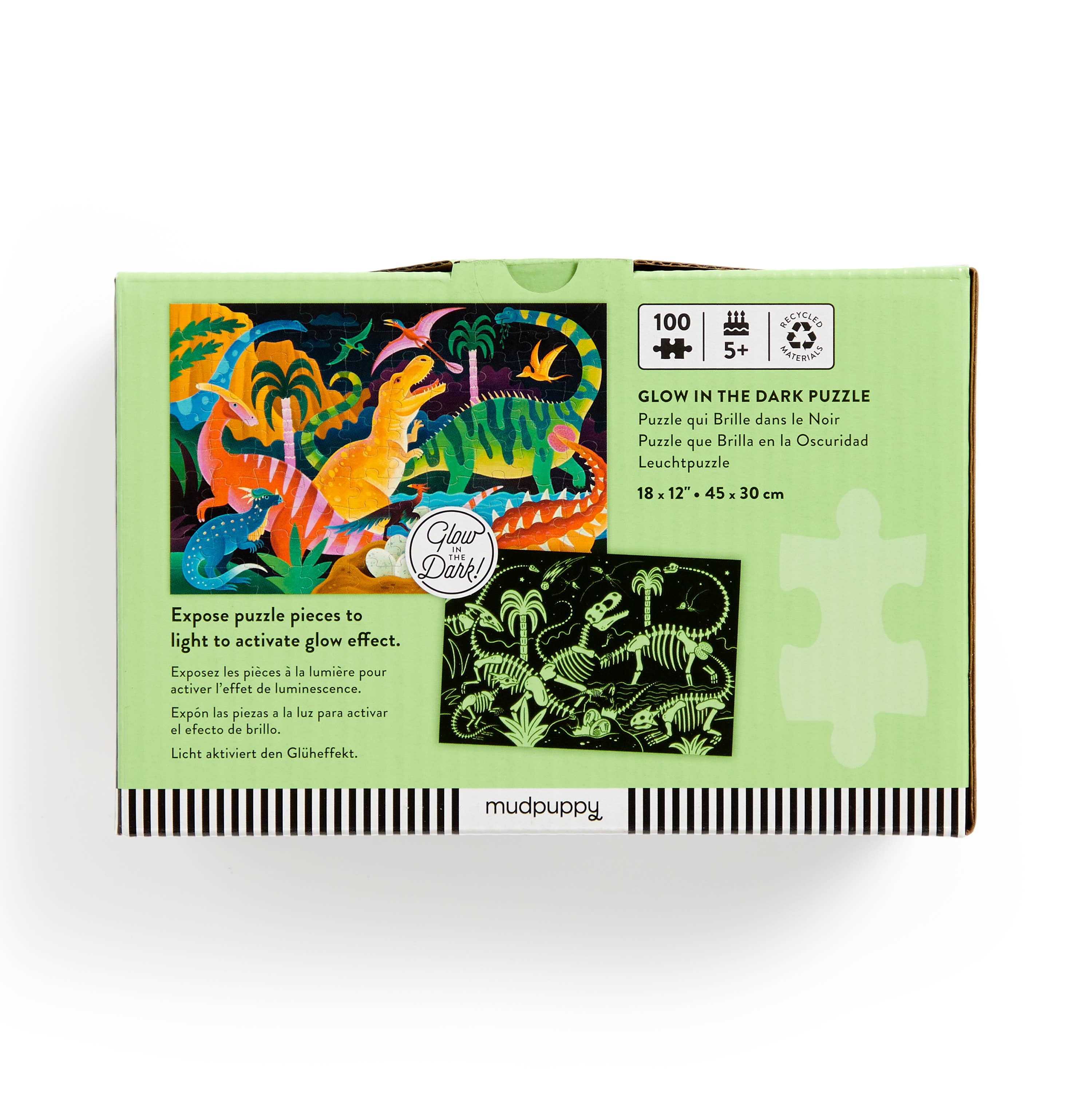 Glow in the dark puzzle packaging with dinosaur illustrations on a white background