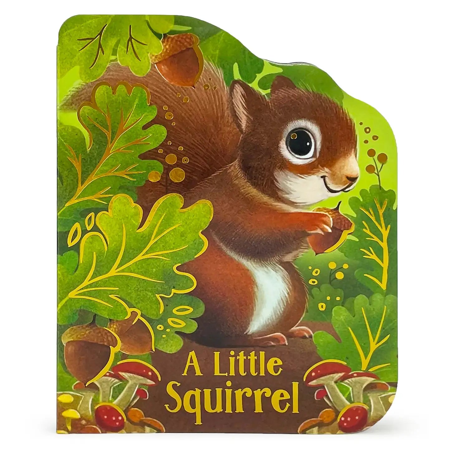 Children's book cover featuring a cartoon squirrel with acorns and leaves.