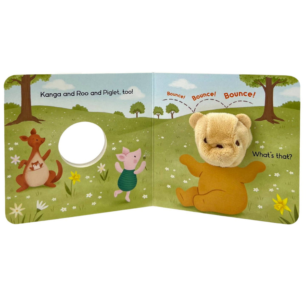 Children's book with a plush toy bear on a grassy field background