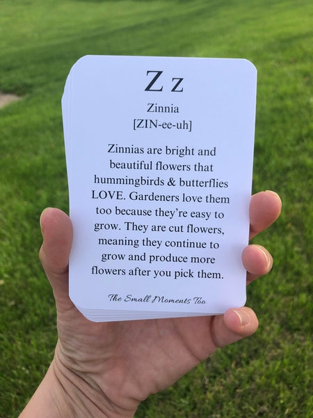 The Small Moments Too - Garden ABC Alphabet Flashcards