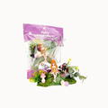 A kid's dough play kit featuring a fairy figurine, small decorative plants, mushrooms, and a purple bag packaging, displayed on a clean white background.