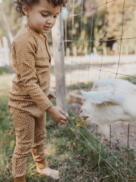 Ziwi Baby - Organic Baby & Toddler Pants - Honeycomb