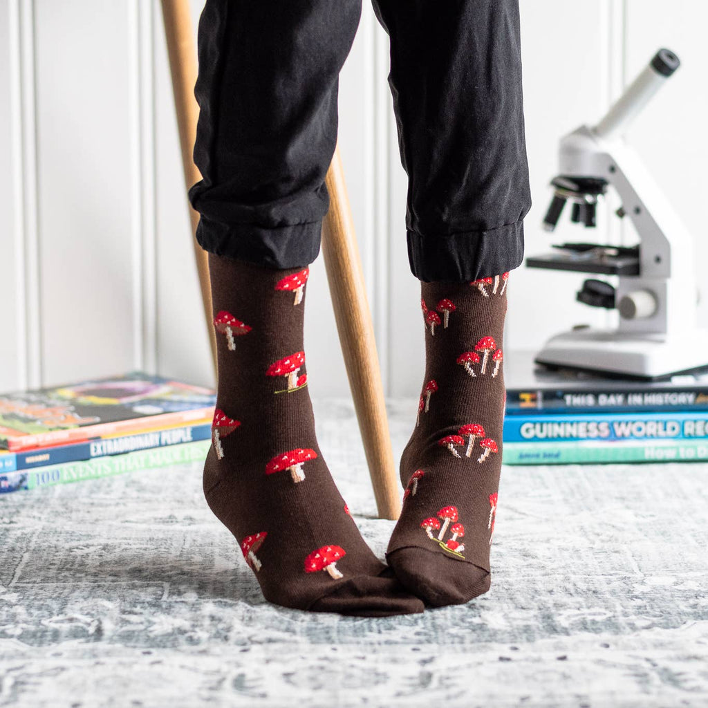Person wearing brown socks with red mushroom pattern in a room with books and a microscope.