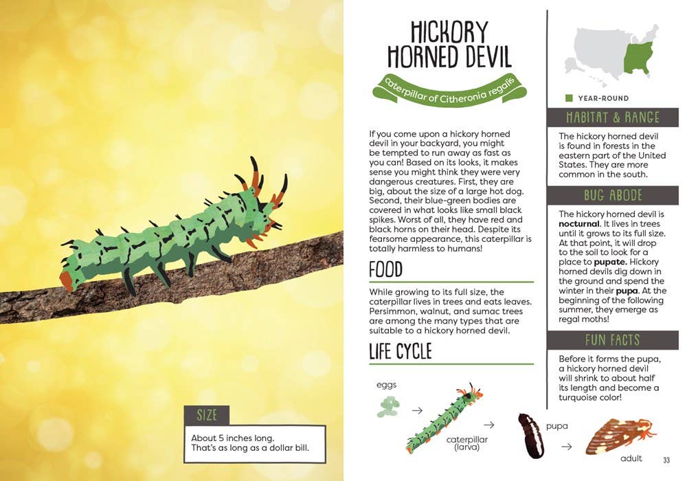 Illustration of a hickory horned devil caterpillar with educational text on a yellow background