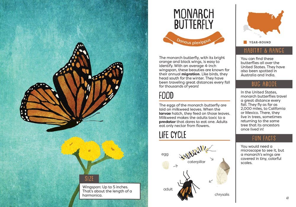 Monarch butterfly illustration with educational text on a blue background