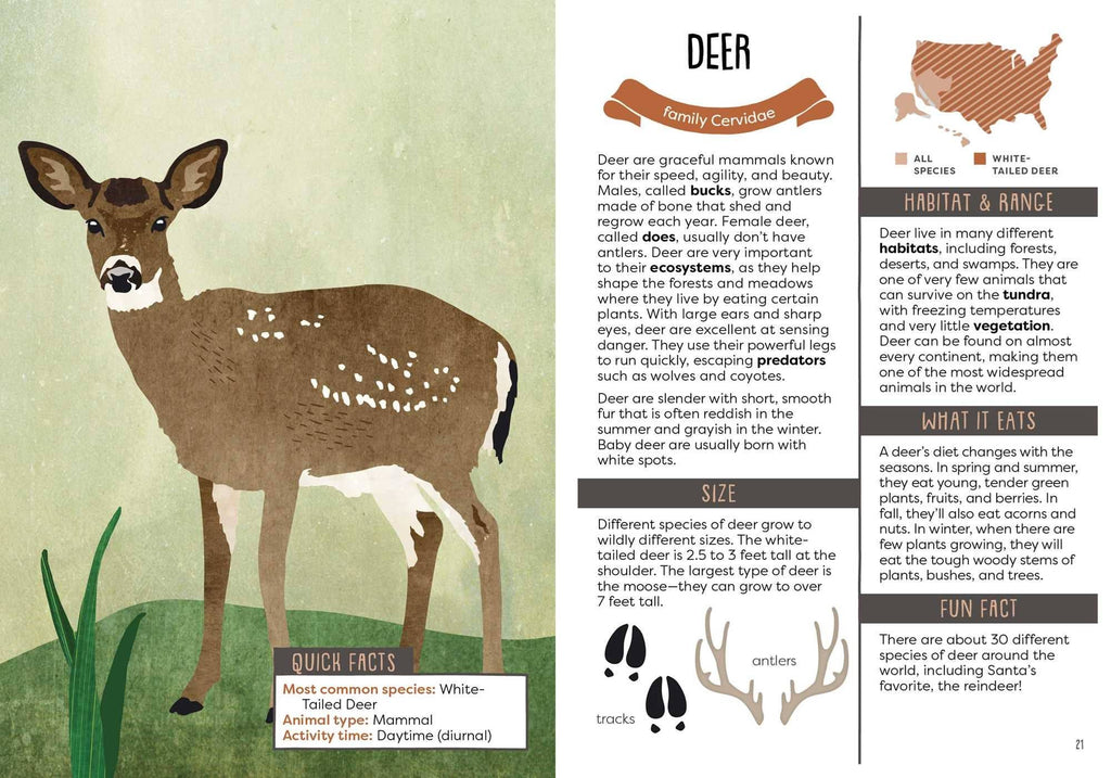 Illustration of a deer with information about its family, habitat, range, and facts.