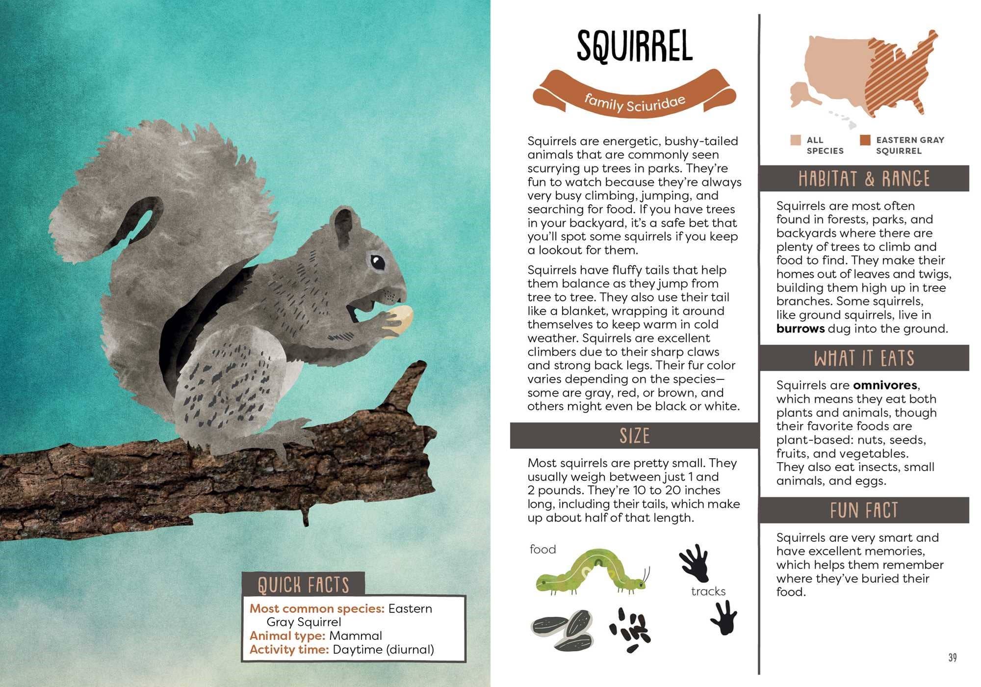 Illustration of a squirrel on a branch with educational text about squirrels on a blue background.