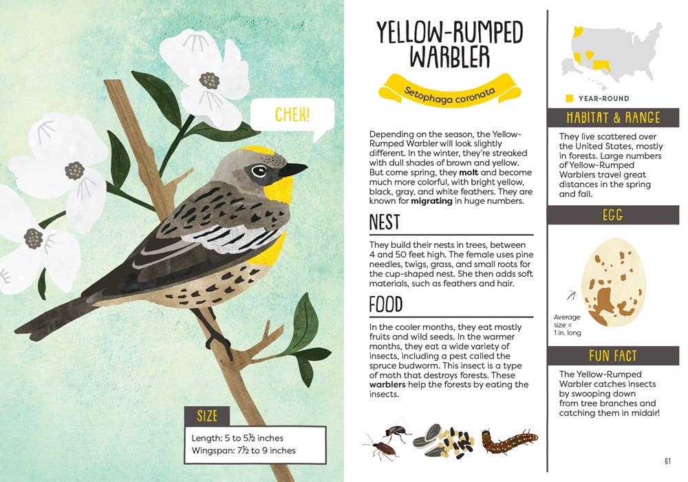 Illustration of a Yellow-Rumped Warbler with habitat and range information on a green background.