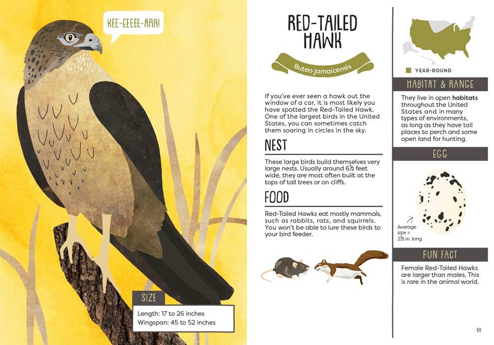 Illustration of a Red-Tailed Hawk with habitat and range information on a yellow background