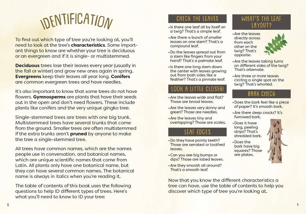 Educational leaflet on identifying trees with text and illustrations.