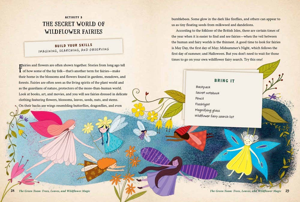 Illustrated page from a book about wildflower fairies with colorful fairies and flowers.