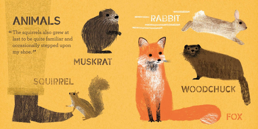 Illustrations of various animals including a muskrat, rabbit, fox, and woodchuck on a yellow background.
