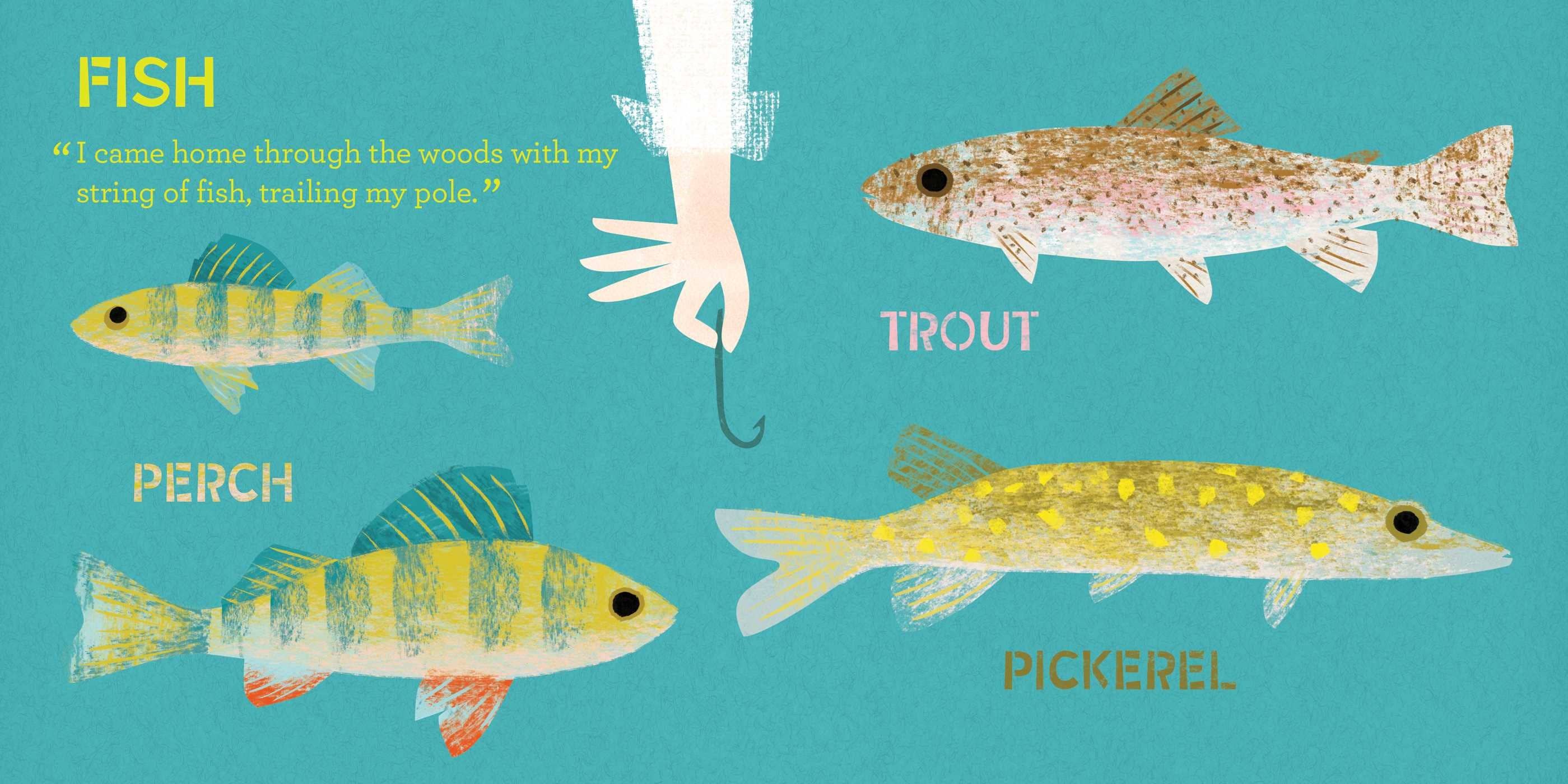 Illustrations of fish including trout, perch, and pickerel on a teal background with text.