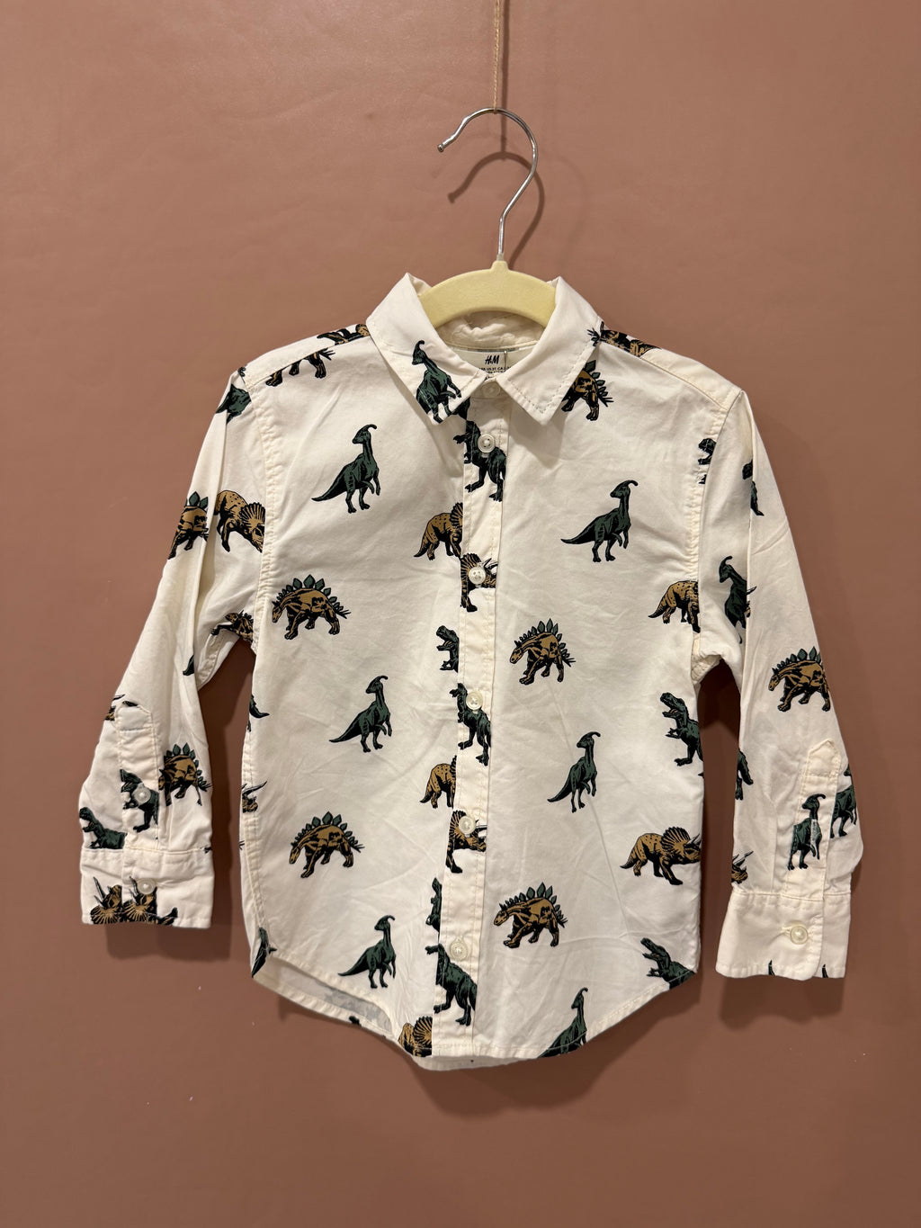 H&M - Dinosaur Button-Up Shirt - 3T