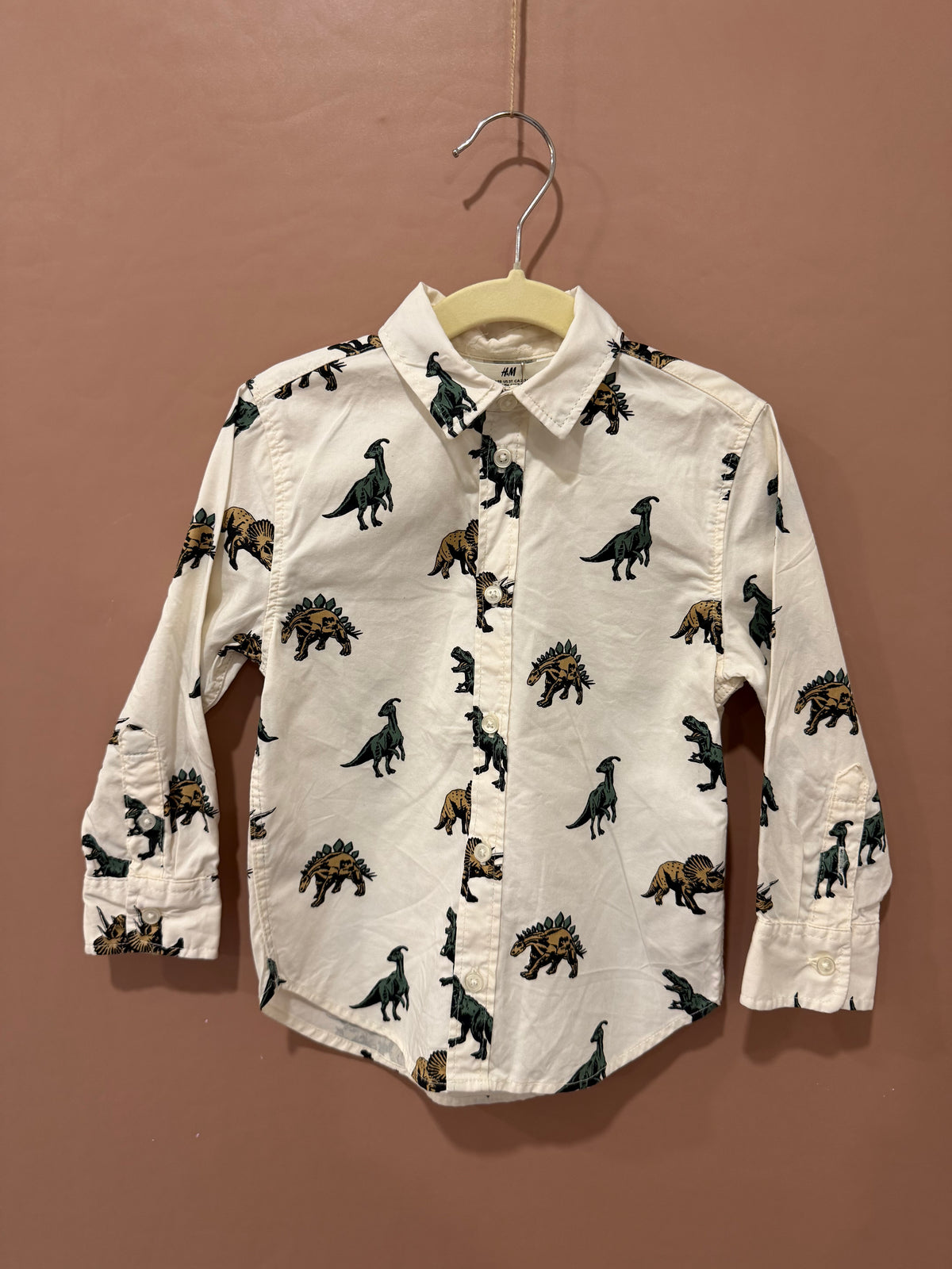 H&M - Dinosaur Button-Up Shirt - 3T